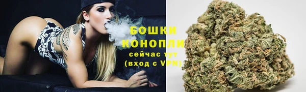 spice Гусиноозёрск