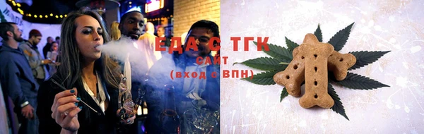 СК Новозыбков