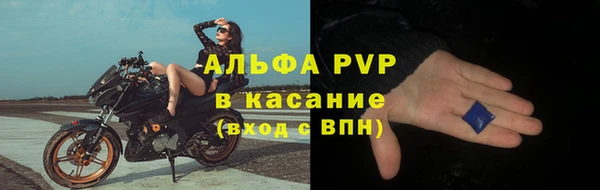 spice Дмитриев