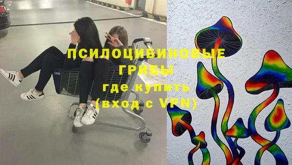 бошки Гусь-Хрустальный