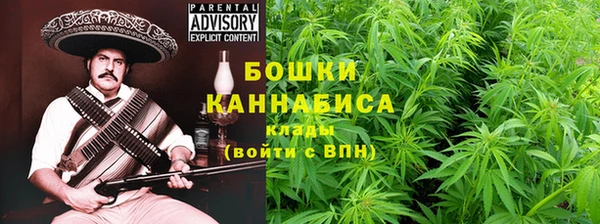 spice Гусиноозёрск