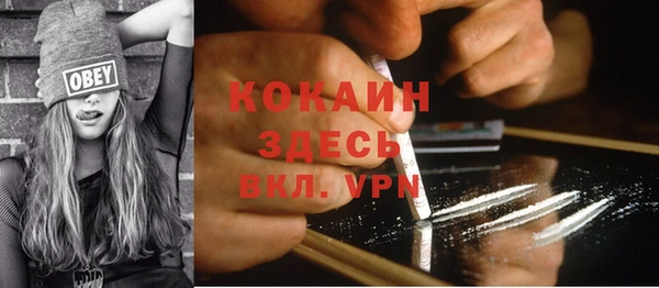 бошки Гусь-Хрустальный