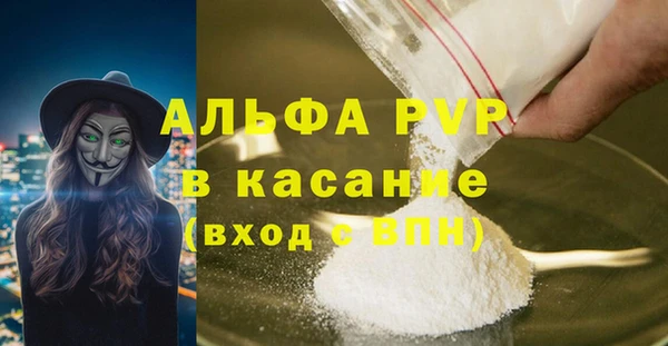СК Новозыбков